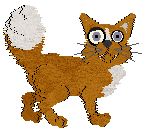 Profile image of Tea/King's Soapy Aftertaste