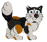 Profile image of Cargo/King's Calico Beauty