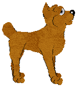 Bec's Orange Marmalade at Ferality — “Marm”