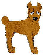 Bec's Orange Marmalade at Ferality — “Marm”