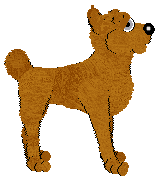 Bec's Orange Marmalade at Ferality — “Marm”