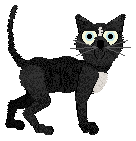 King/Amenity's Middle of the Night — “Noche”