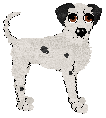 Sz's Brigadier General — “Brigadier”