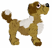 Funfetti's Decision of Fate — “Cassia”