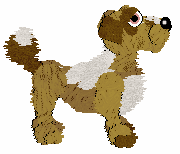 Funfetti's Decision of Fate — “Cassia”