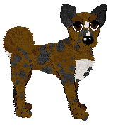 Bec's Double Chocolate Chip at Ferality — “Chips”