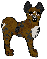 Profile image of Bec's Double Chocolate Chip at Ferality