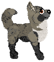 Pachelbel's Hurricane Tortilla — “Pigeon”