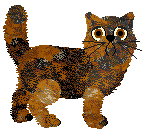 Profile image of Mockingbird's Shifting Light