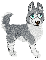 Pachelbel's Mirrorball Moment — “Cube”