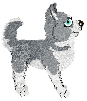 Profile image of Pachelbel's Mirrorball Moment