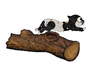 Vanilla/LF's Be Heard XPC — “Shout”