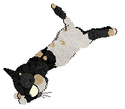 Vanilla/LF's Be Heard XPC — “Shout”