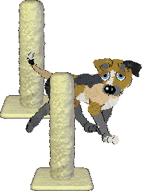 FH's My Father, My Son at SzK — “Abbot”