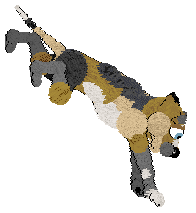 FH's My Father, My Son at SzK — “Abbot”