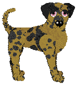 Profile image of Amenity's Before The Sun Sets