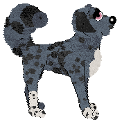 Lex's Northern Lights at Ferality — “Aurora”