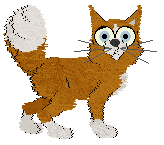 Witz's Shared Understanding — “Canon”