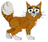 Witz's Shared Understanding — “Canon”