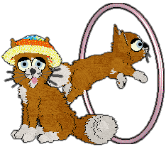 Profile image of Witz's Shared Understanding