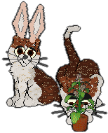 Profile image of Calluna/Witz's Almost Divine