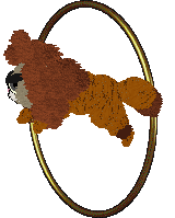 Nekomm/Whimsy's Certified Menace to Society — “Jimmy”