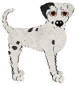 King's Whiskey Mind Tricks @ Mockingbird — “Vital”