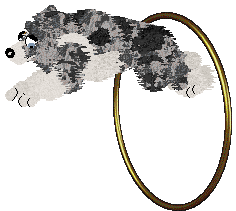 Come Bye's Find Your Way — “Padfoot”