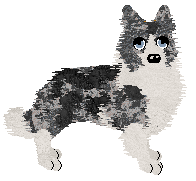 Profile image of Come Bye's Find Your Way