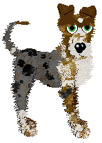 Profile image of Witz's Band-Aid Fix at SzK