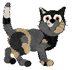 NSP's I Love You So at Wild Road — “Kaori”