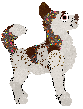 FH's Loco For Coco at Wild Road — “Loca Cola”