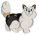 TTE's Foolin' Around at Vanilla — “Tom”