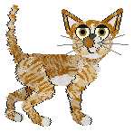 Calluna's Monkey Puzzle — “Pehuen”