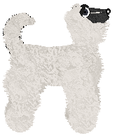 Cirrutopia's Above Suspicion at Vanilla — “Spotless”