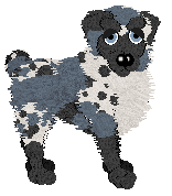 Ferality's Count the Stars — “Celeste”