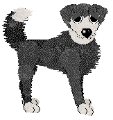 Ferality's White Noise at Vanilla — “Noise”