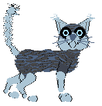 Clover Cat's Questioning Reality at Vanilla — “Apparition”