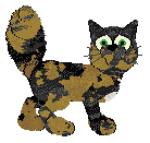 Cirrutopia's Count von Cuddles at Vanilla — “Cuddles”