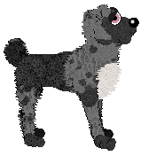 Ferality's Dark and Thorny — “Rose”