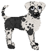 Ferality's Counting Cards — “Ace”