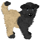 Noir/Tangled's Playtime in the Surf — “Shore”