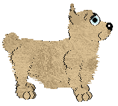 EC's Wild Harvest Cornado — “Gertie”