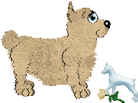 Profile image of EC's Wild Harvest Cornado