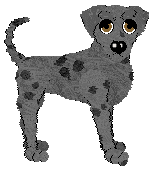 Profile image of Sz's Piper nigrum