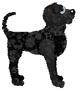 Ferality/FK's Darkest Knight — “Bruce”