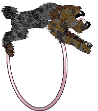 Ferality's Ex Factor at Cirrutopia — “Bubbles”