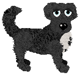 Dahlia/King's Morning Breakdown — “Sea Bass”