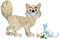 Profile image of EC's Sweet Blossom