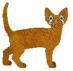 Starling Screaming Colour — “Woods”